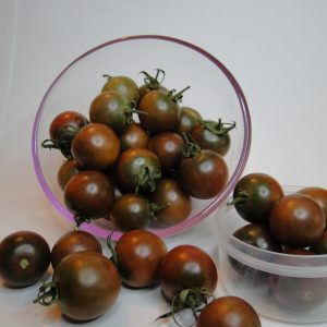 Tomate cherry Purple