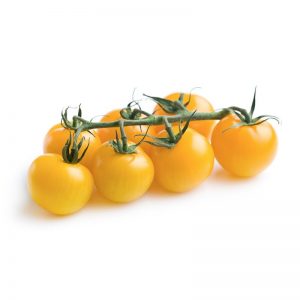 Tomate cherry amarillo