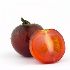 Tomate Cherry Indigo Rose