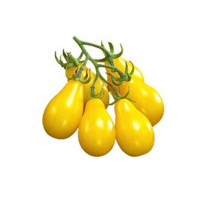 Tomate cherry pera amarillo