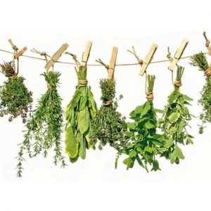 Aromáticas