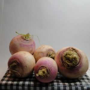 Rábano sandia