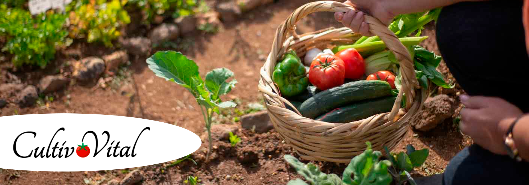 cultivo orgánico